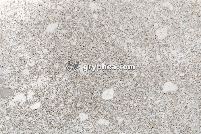 Basalte à olivine (V 208) LPNA x2,6 - gryphea.org